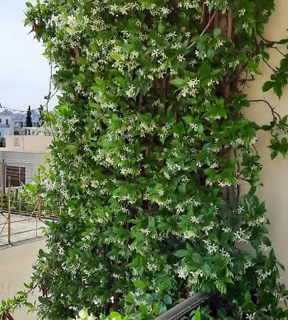 Olympic Fashion Hotel Athen